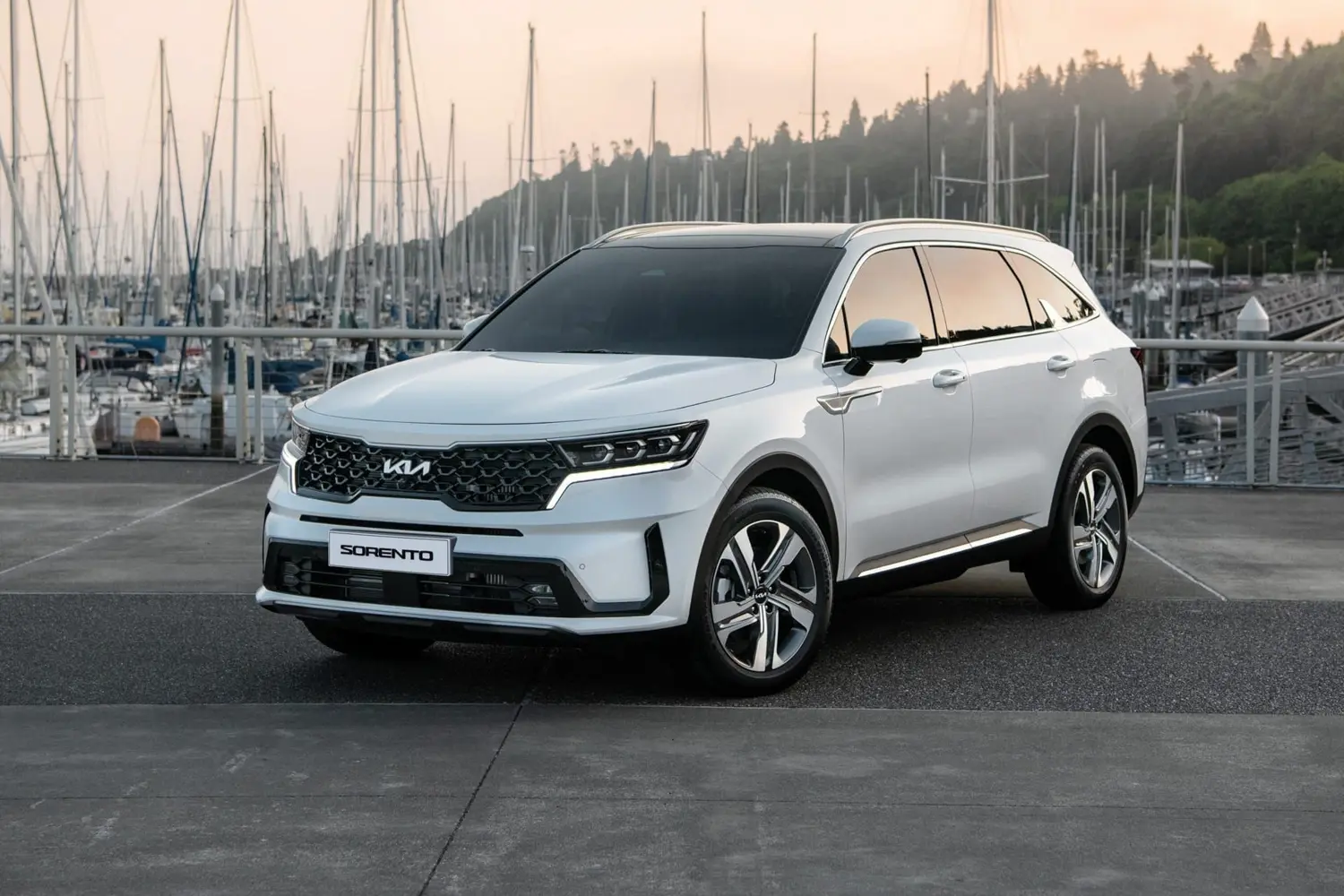 🎯 Kia Sorento - 城市运动轿车！吸睛设计、高效省油、宽敞内饰。年轻人的选择！🎨