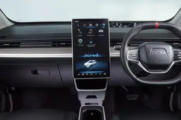 Neta V
