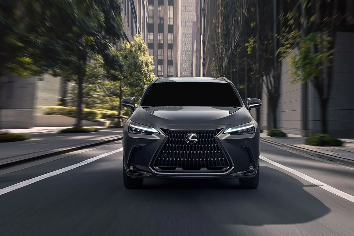 🏁 Lexus NX - Prestasi luar biasa! Pecutan hebat, kawalan mantap, selamat dipandu. Untuk yang sukakan kelajuan! 🚀