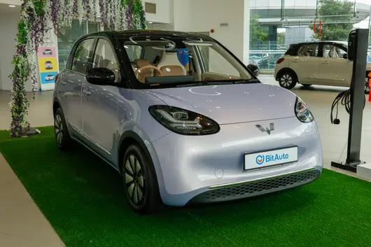 2025 410km Max