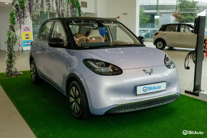 Bingo EV