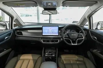 BYD M6