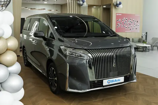 2025 Hi4 1.5T 170km Standard