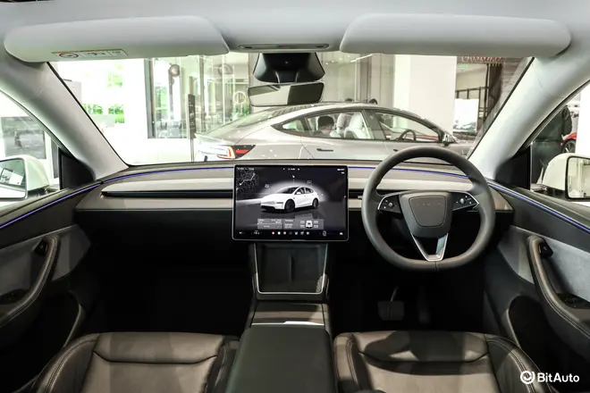 Model Y
