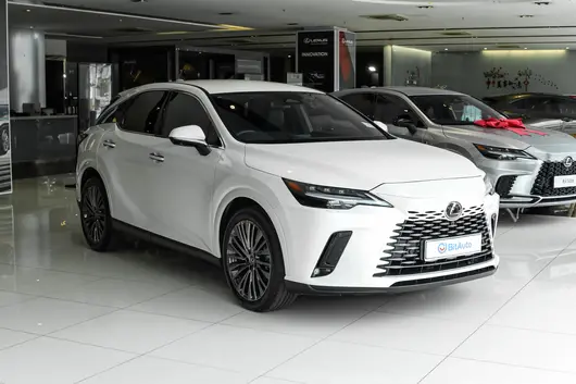 2025 350 Luxury