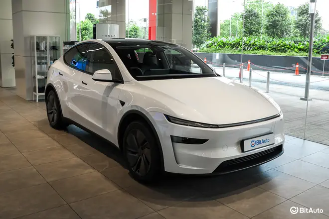 Model Y