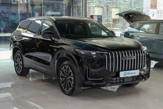 2025 2.0T 4WD Standard 6 Seats