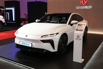 Dongfeng 007