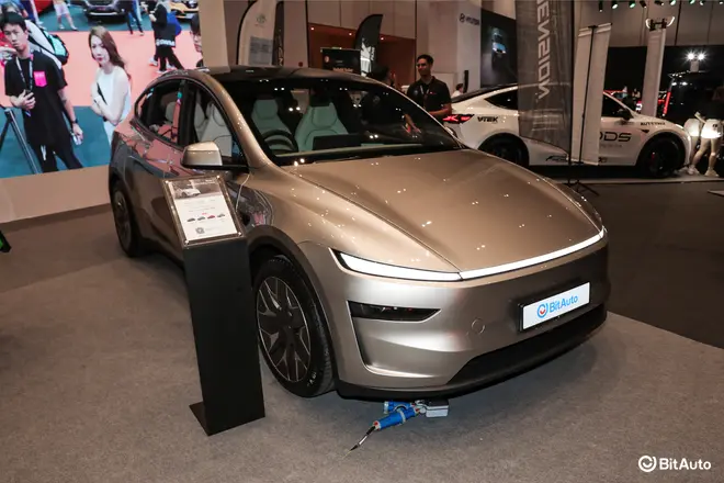 Model Y L