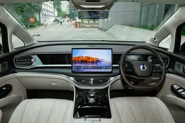 Denza D9