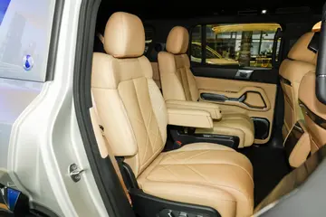 Denza B8