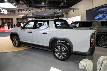 MAXUS Terron 9
