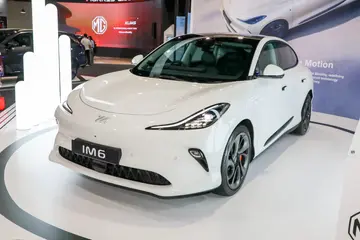 MGIM6