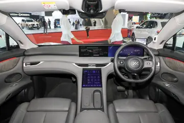 MGIM6