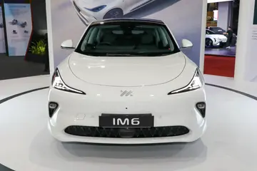 MGIM6