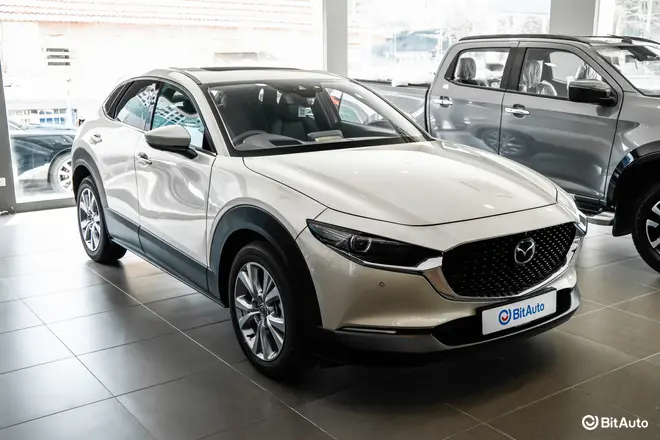 CX-30