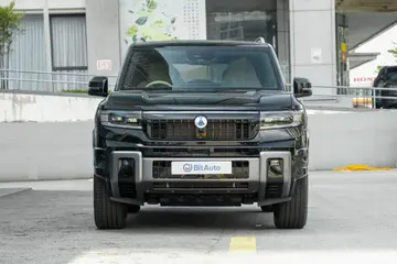 Denza B8