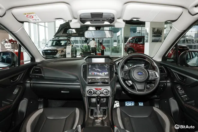 XV