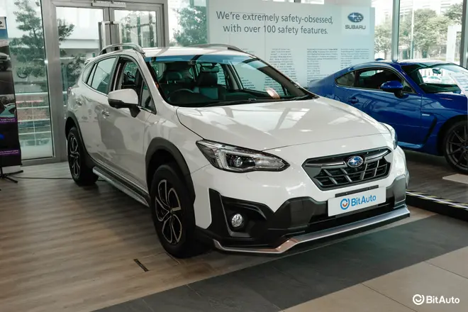 XV