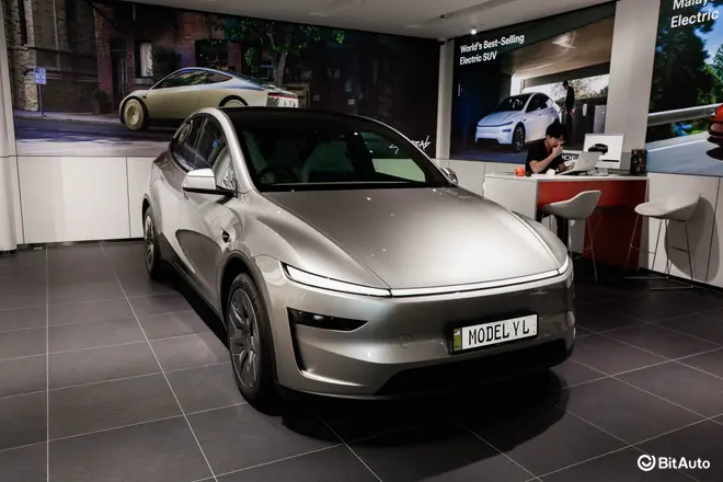 Model Y L