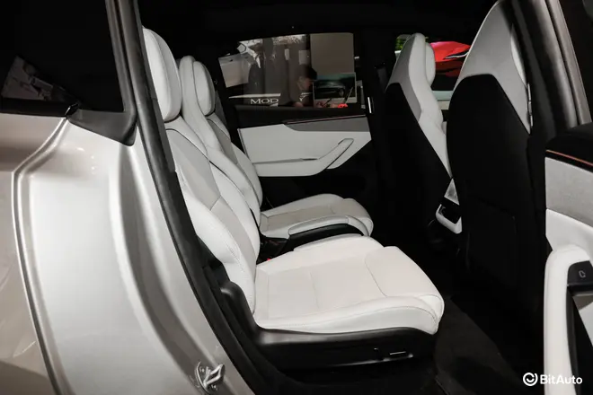 Model Y L