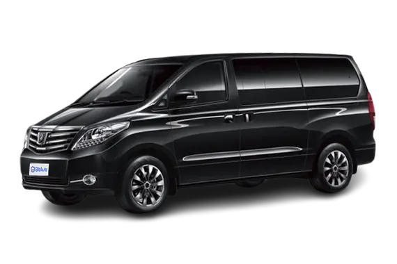Forthing Lingzhi Plus
