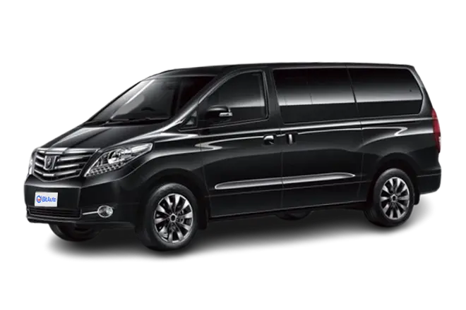 Forthing Lingzhi Plus