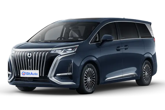 Denza D9