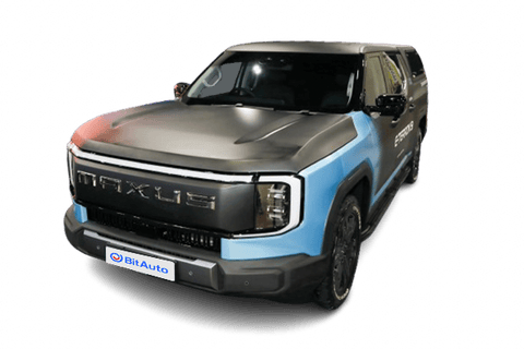 MAXUS  eTerron 9