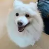 TomDaily