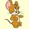 JakeDaily