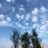 DailyLight