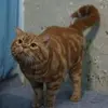 人间多温柔
