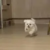 GentleLiving
