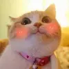 时光慢一点