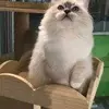 NewDayNewHope