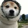清风渡人间