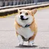 日常小欢喜