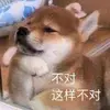 林间揽清风