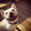 MindFreeRelax