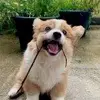 生活多温柔