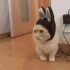 WarmDailyMood