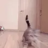 时光请慢行