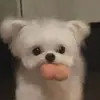 NinaHidupSantai