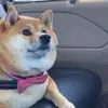 CalmSoulLife