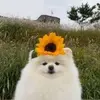 MeanfulDailyLife
