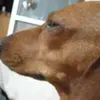 LifeBalanceMode