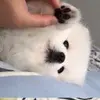 EasyGoingLife