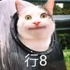 日常微光