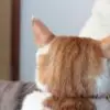 QuietCozyMoment